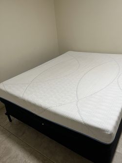 Queen Memory Foam Mattress Box Spring And Metal Frame Bed