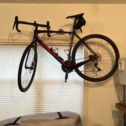 Trek Checkpoint SL 5 (58cm)