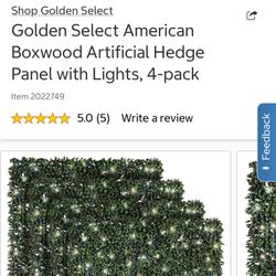 Lighted Boxwood Panels