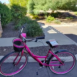 Bicycles, His Schwinn Grey And Hers Pink Susan Komen
