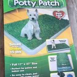 Potty Patch Training Dog