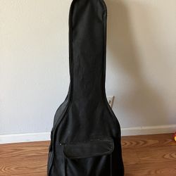 Johnson Guitar