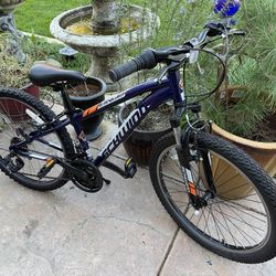Schwinn Mountain Bike