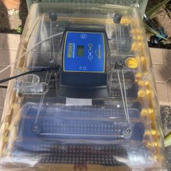 Egg Incubator 