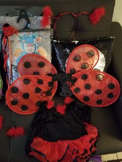 Ladybug costume