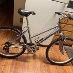 Nishiki frame 17” tires 26”