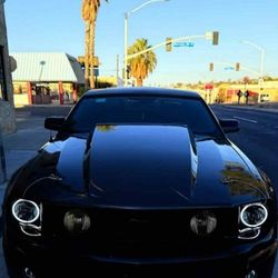 2008 Ford Mustang