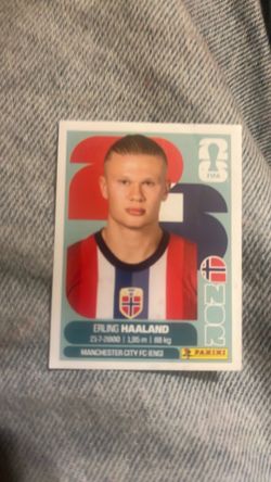 Haaland nor 15