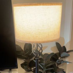 Dimmable Floor Lamp 