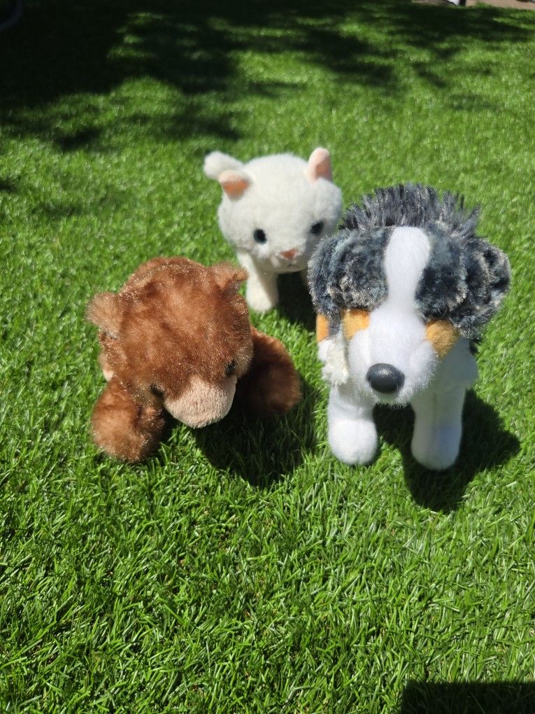 Stuffed Animal