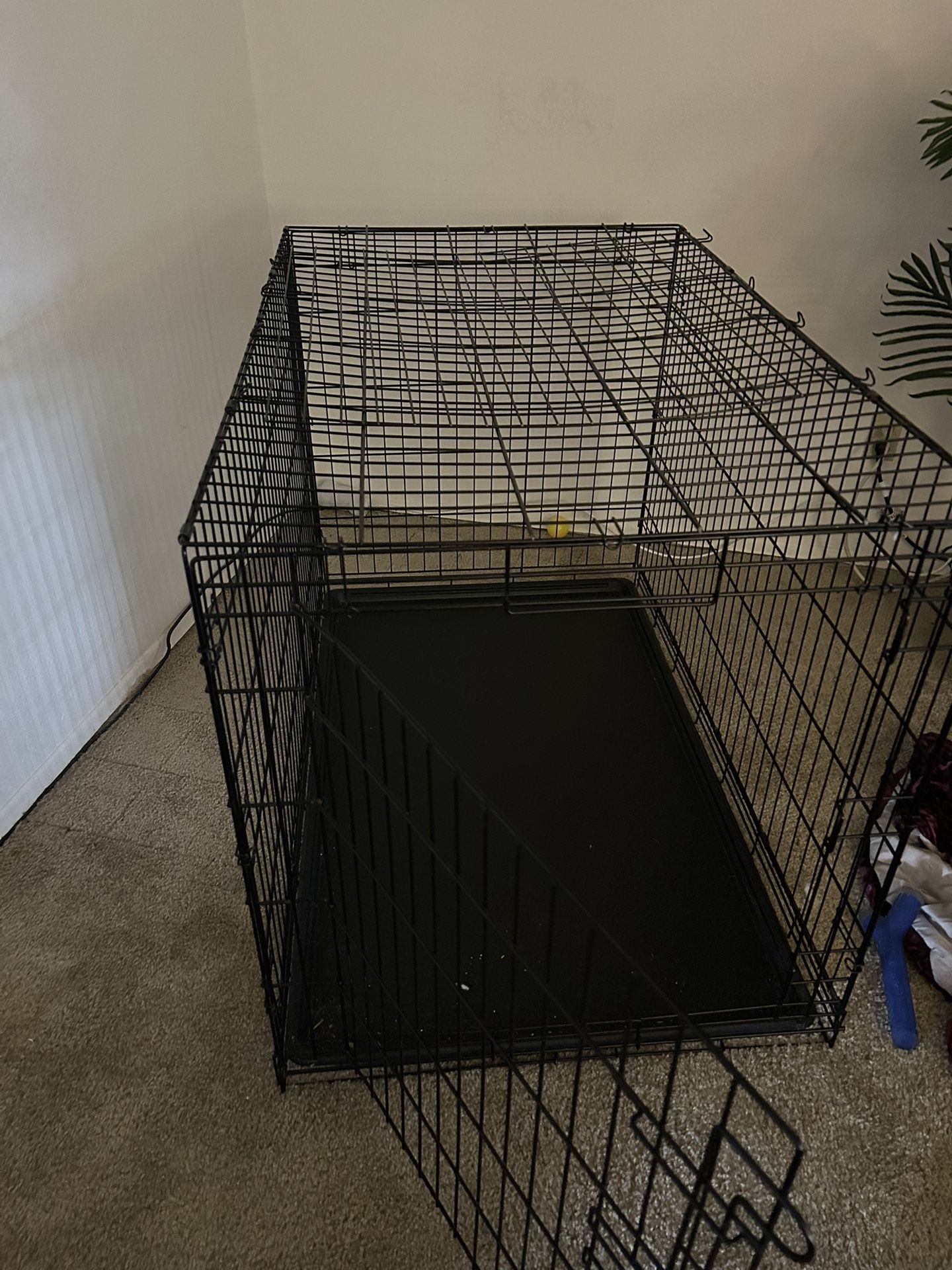 Dog Kennel