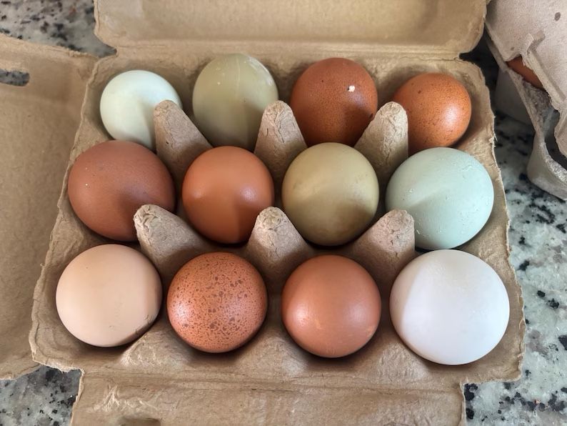 Organic Farm Fresh Eggs!!!