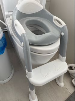 Potty Training Seat, Step Stool, Ladder, Chair