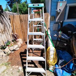 6 Ft Aluminum Ladder