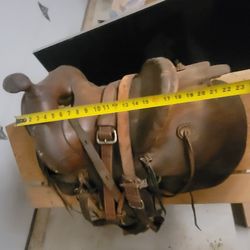 Horse Saddle