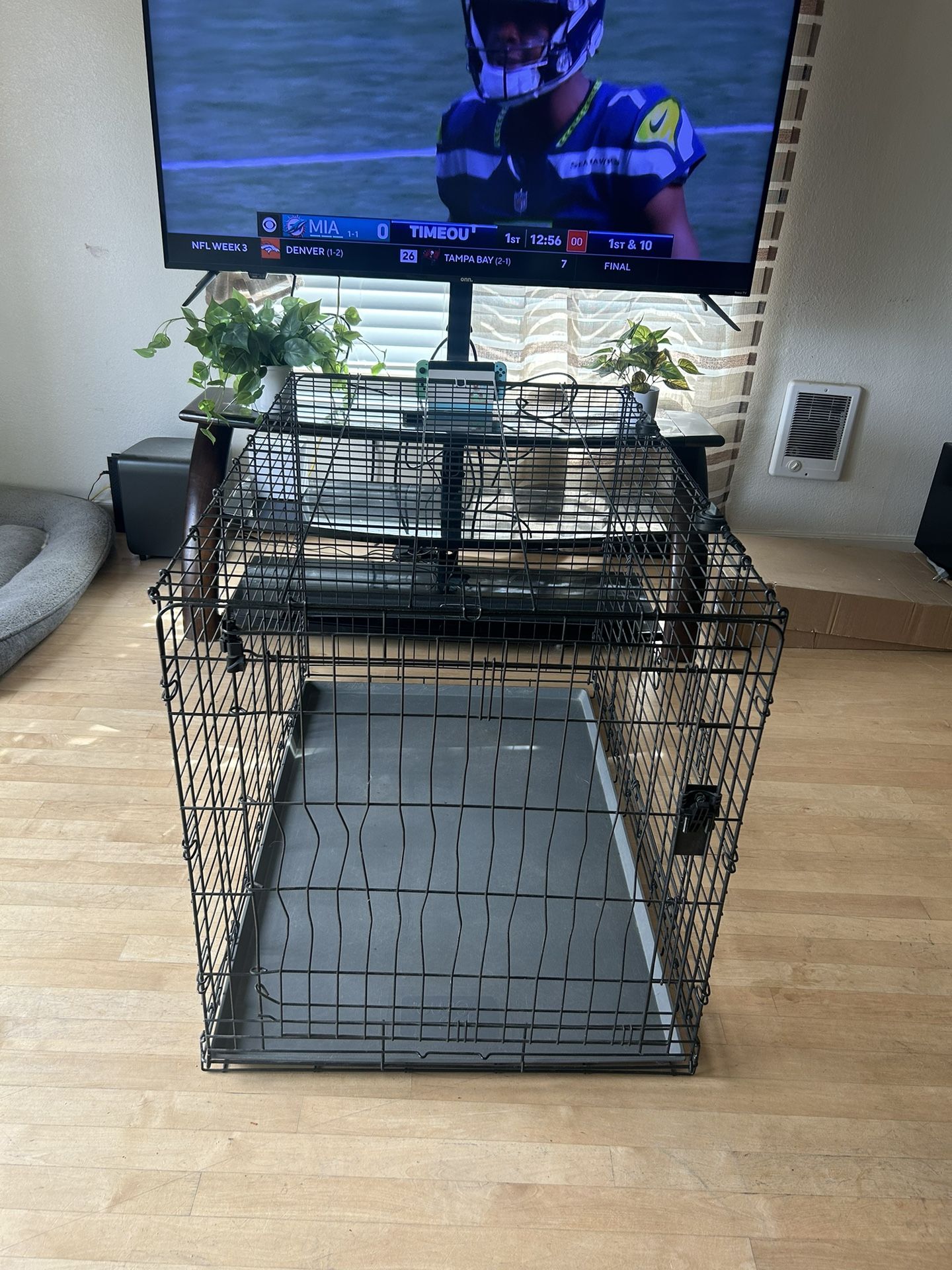 Dog Kennel