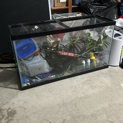 Fish Tank Bundle 