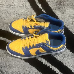 Nike UCLA Shoes 