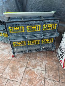 Quail jumbo Cage