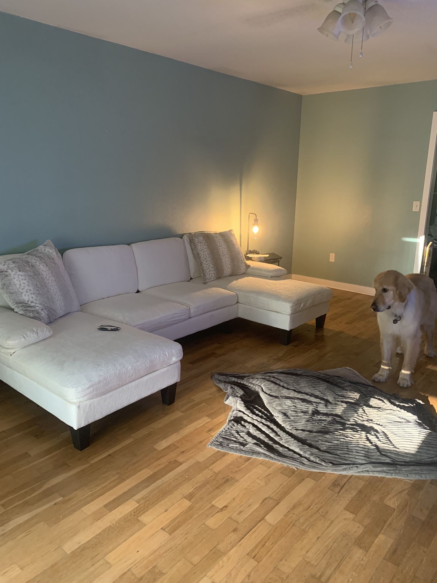 TikTok Viral Couch 2 Months Old for Sale in Stillwater, OK OfferUp