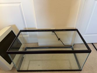 Large glass aquarium