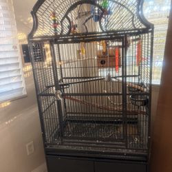 Birdcage
