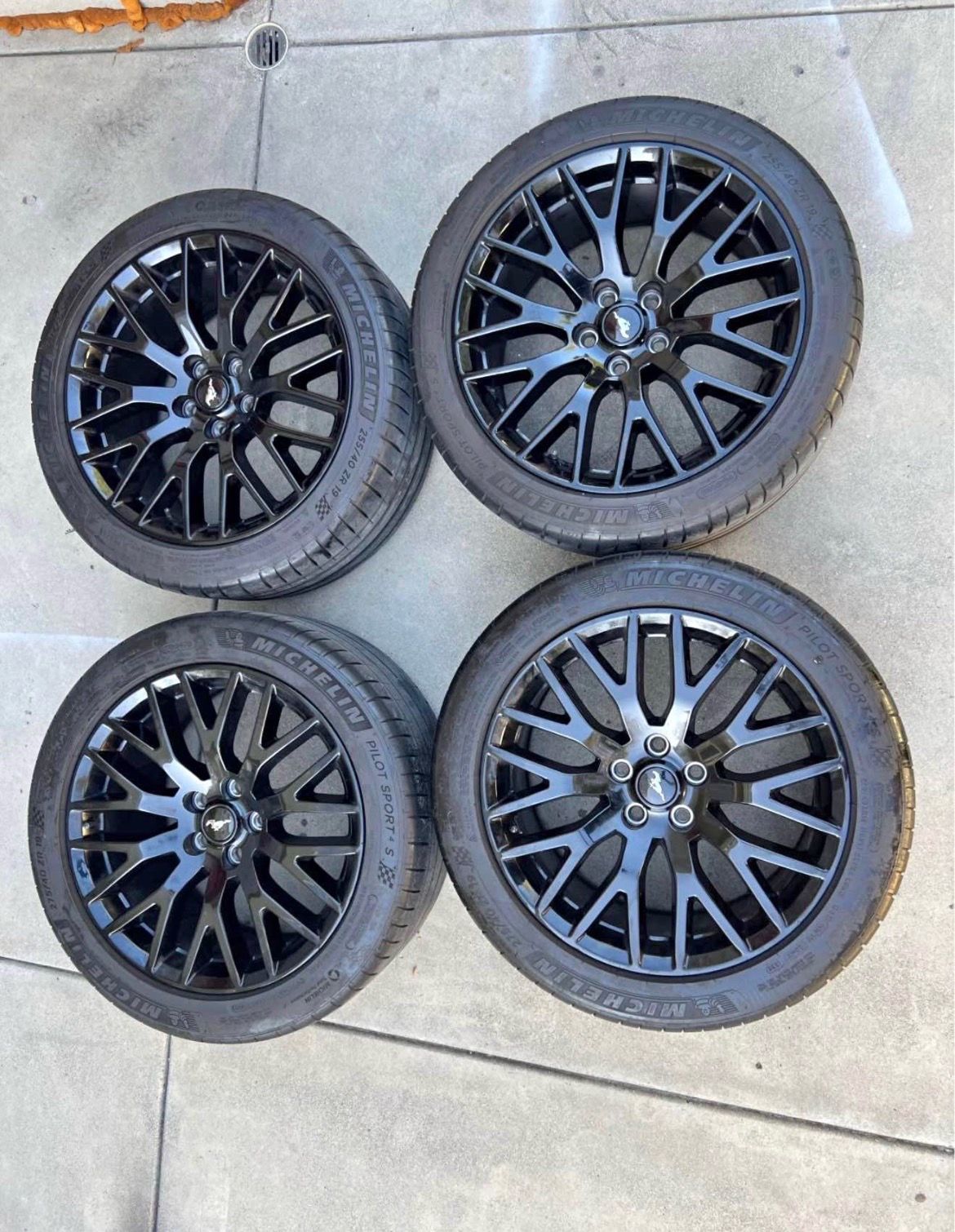Pp1s mustang rim shoot me offer