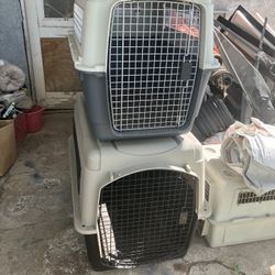 Pet Carrier Large Sized