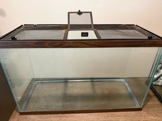 30” × 12” × 19” Glass Reptile Aquarium