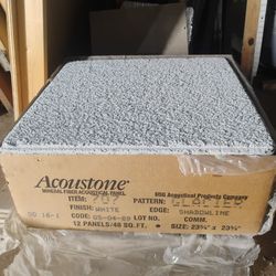 Acoustone ceiling tile