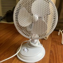 Small Fan 13”