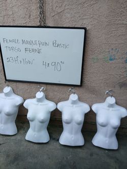 Female Plastic Torso Mannequins – Set of 4