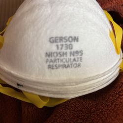 Gerson 1730 N95 Masks 