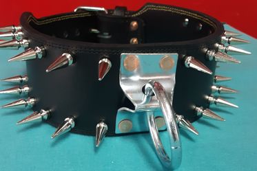 Custom collars