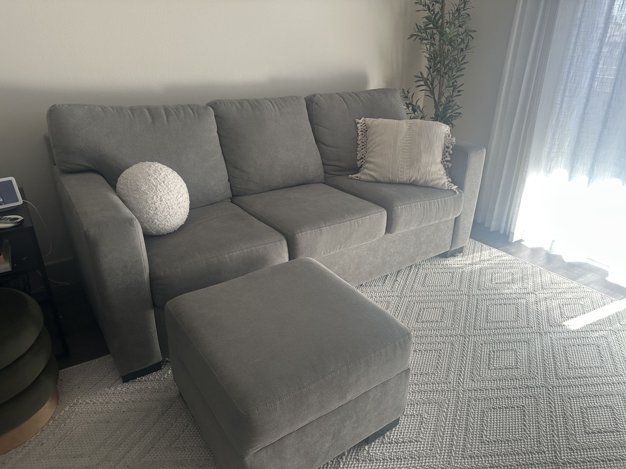 Sofa and Ottoman