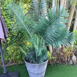 Set of 2 Large Artificial Palm Plants with Pots