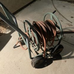 Garden Horse And Roller