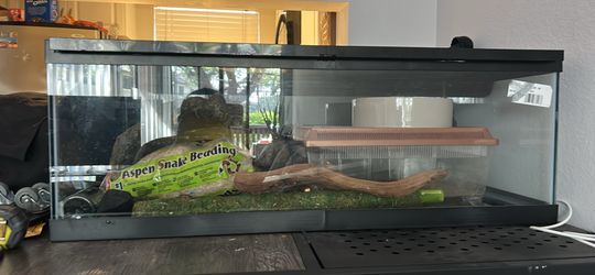 Terrarium