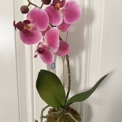 Artificial  Plant