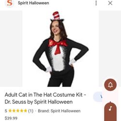 Adult Cat On The Hat