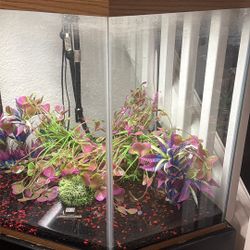 Hexagon 45 Gallon Aquarium 