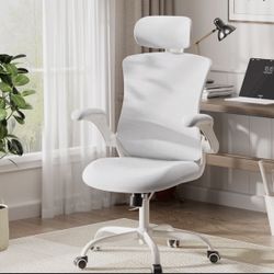 Ergonomic Mesh Office Chair