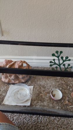 Glass Reptile or Fish Tank with Accessories