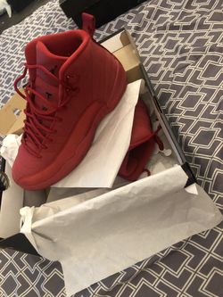 Retro 12 Jordan’s 