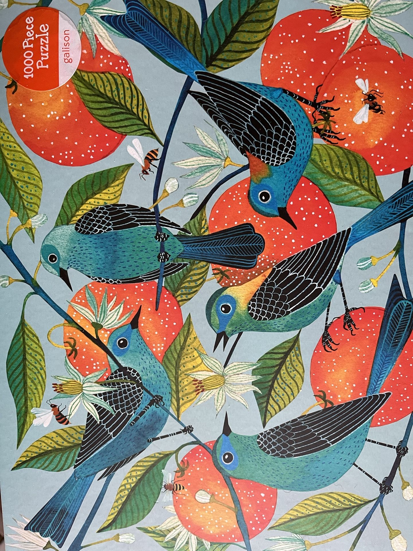 Brand new beautiful puzzle originally $15 would make a great Christmas gift