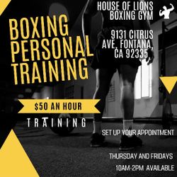 Personal Boxing Training 