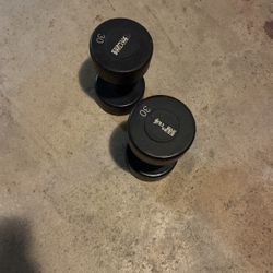 Dumbell Weights 30 lbs 