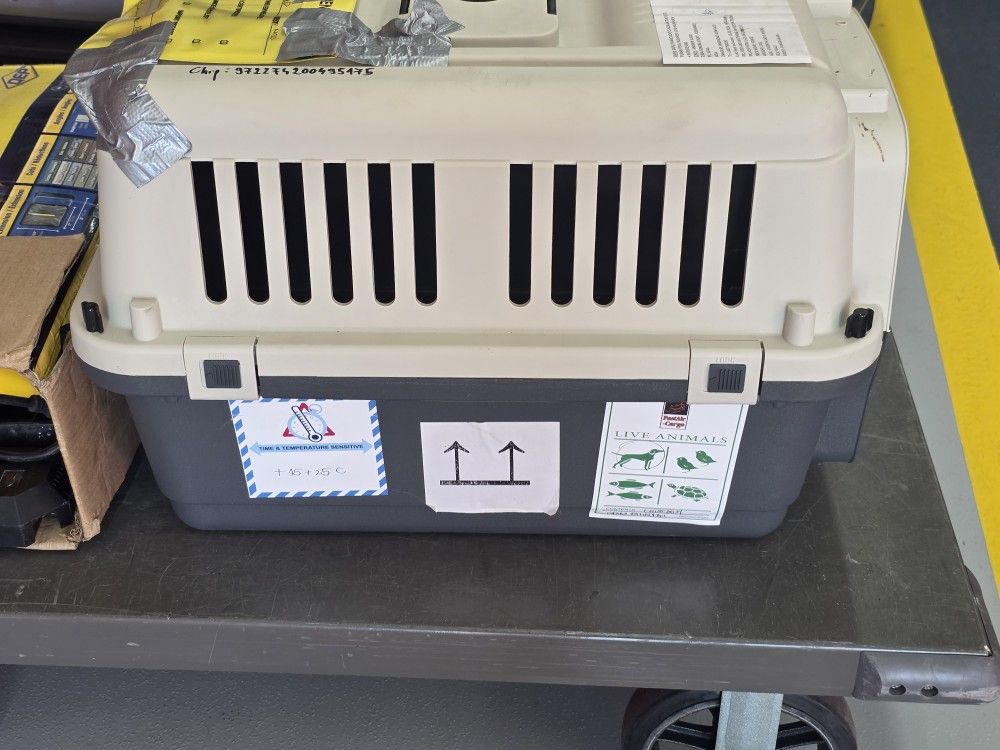 Small dog airplane approved carrier