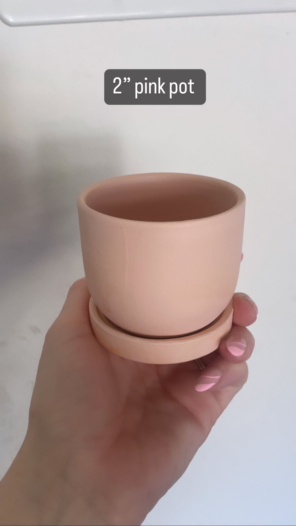 Ceramic Pots For Sale