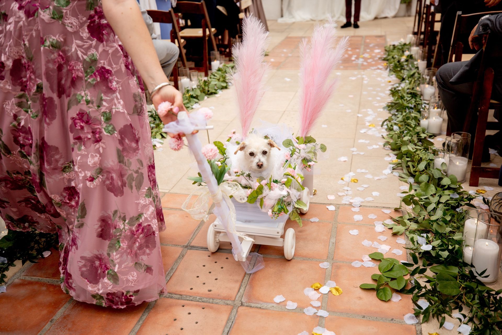 Flower Girl/Ring Bearer Or Dog Wagon